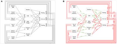 Understanding the Spatial Predictors of Malnutrition Among 0–2 Years Children in India Using Path Analysis